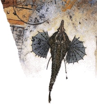 Иллюстрация к книге — Шляпа фокусника [_050.jpg]