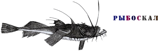 Иллюстрация к книге — Шляпа фокусника [_056.jpg]