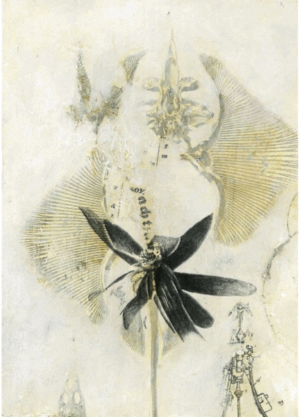 Иллюстрация к книге — Шляпа фокусника [_082.jpg]