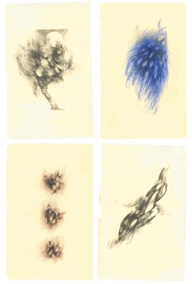 Иллюстрация к книге — Шляпа фокусника [_107.jpg]