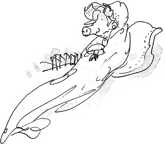 Иллюстрация к книге — Удивительное путешествие Полисены Пороселло [i_005.jpg]