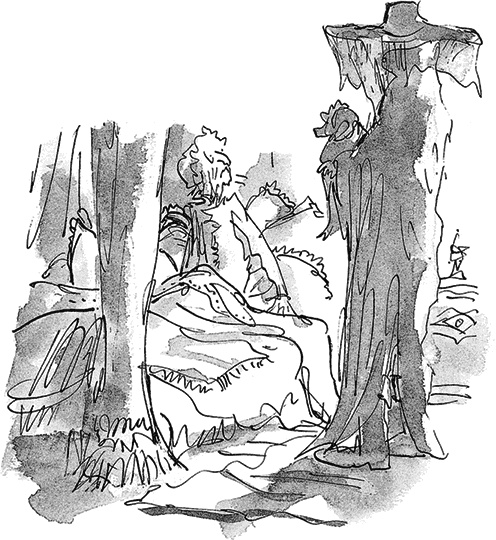 Иллюстрация к книге — Удивительное путешествие Полисены Пороселло [i_035.jpg]