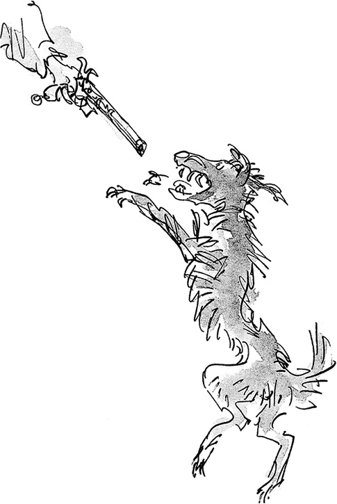 Иллюстрация к книге — Удивительное путешествие Полисены Пороселло [i_041.jpg]