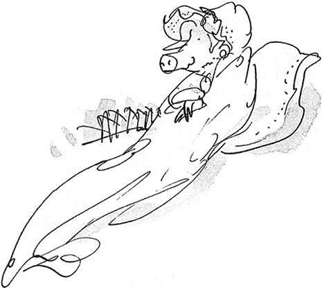 Иллюстрация к книге — Удивительное путешествие Полисены Пороселло [i_044.jpg]