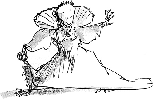 Иллюстрация к книге — Удивительное путешествие Полисены Пороселло [i_055.jpg]