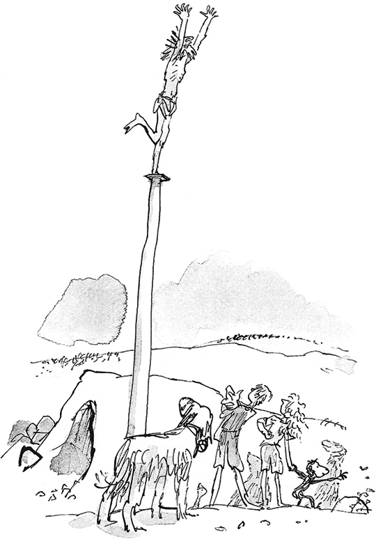 Иллюстрация к книге — Удивительное путешествие Полисены Пороселло [i_065.jpg]