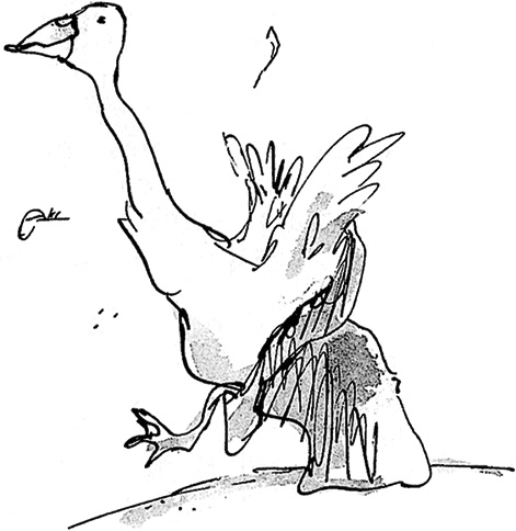 Иллюстрация к книге — Удивительное путешествие Полисены Пороселло [i_066.jpg]