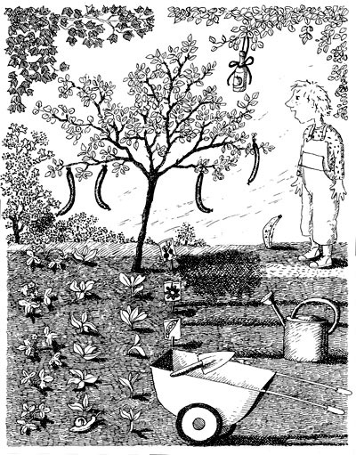 Иллюстрация к книге — Бабушка! - кричит Фридер [i_021.jpg]