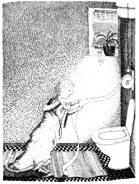 Иллюстрация к книге — Бабушка! - снова кричит Фридер [i_009.jpg]