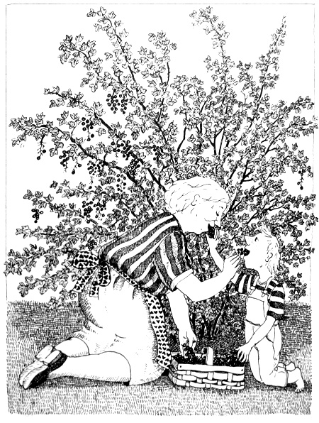 Иллюстрация к книге — Бабушка! - снова кричит Фридер [i_011.jpg]