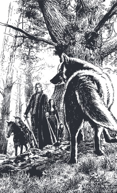 Иллюстрация к книге — Работаем на контрасте, или Подруга на любой вкус [i_001.jpg]