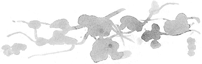 Иллюстрация к книге — Диана, Купидон и Командор [i_011.jpg]