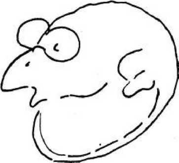 Иллюстрация к книге — Игры для разума. Тренинг креативного мышления [image100.jpg]