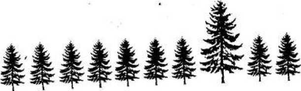 Иллюстрация к книге — Игры для разума. Тренинг креативного мышления [image46.jpg]