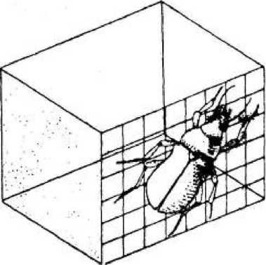 Иллюстрация к книге — Игры для разума. Тренинг креативного мышления [image90.jpg]