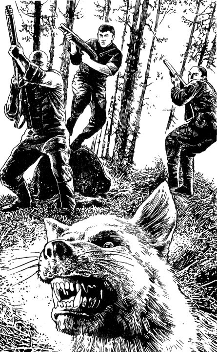 Иллюстрация к книге — Война - дело семейное. Перехват [i_001.jpg]