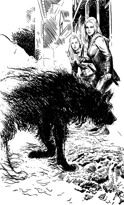 Иллюстрация к книге — Суета вокруг кота [i_002.jpg]