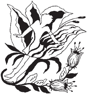 Иллюстрация к книге — 365 ступеней к молодости. Программа молодости по Луизе Хей [_05.jpg]