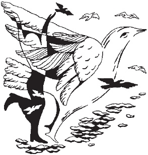 Иллюстрация к книге — 365 ступеней к молодости. Программа молодости по Луизе Хей [_10.jpg]