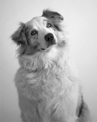 Иллюстрация к книге — Включаем обаяние по методике спецслужб [i_017.jpg]