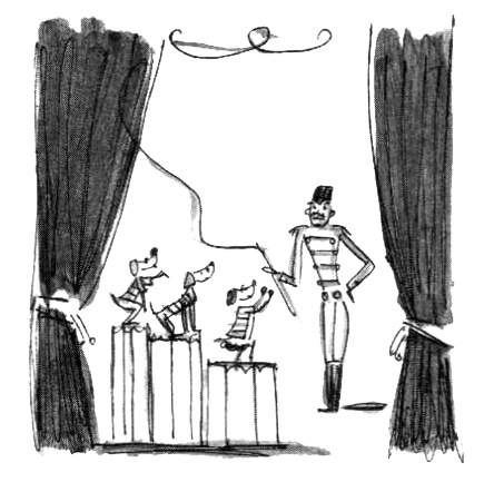 Иллюстрация к книге — Шоколадные каникулы. Приключения семейки из Шербура [i_008.jpg]