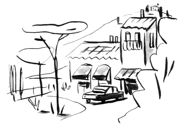 Иллюстрация к книге — Суп из золотых рыбок. Приключения семейки из Шербура [i_008.jpg]