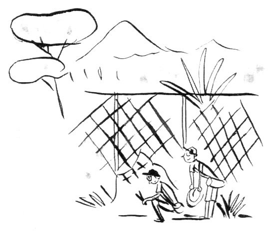 Иллюстрация к книге — Суп из золотых рыбок. Приключения семейки из Шербура [i_013.jpg]