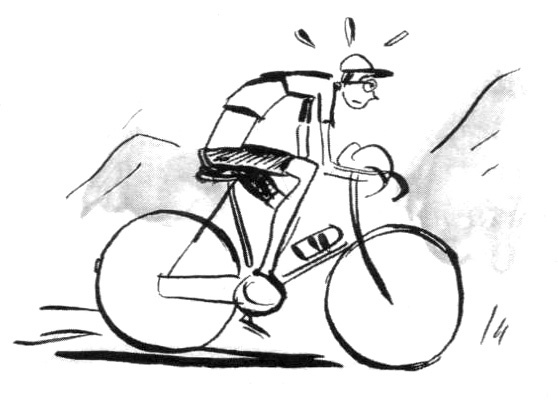 Иллюстрация к книге — Суп из золотых рыбок. Приключения семейки из Шербура [i_019.jpg]