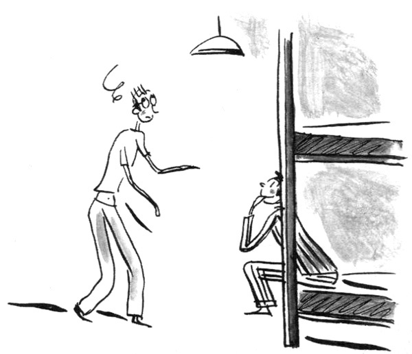 Иллюстрация к книге — Суп из золотых рыбок. Приключения семейки из Шербура [i_025.jpg]