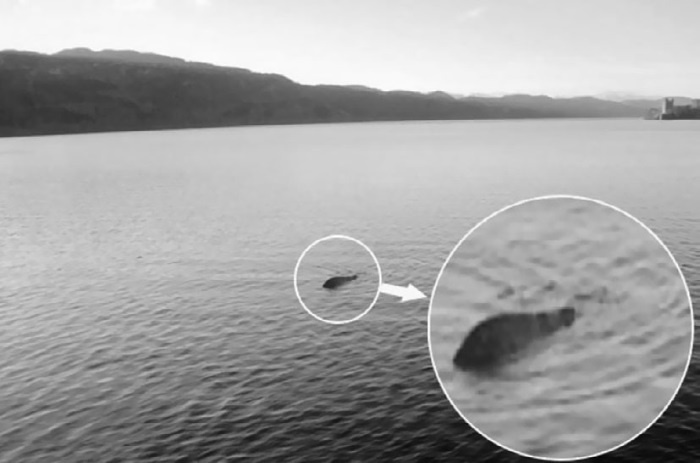 Иллюстрация к книге — Тайны древних цивилизаций [i_011.jpg]