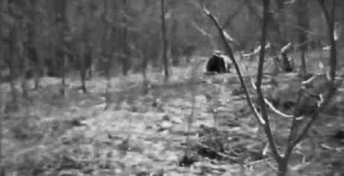 Иллюстрация к книге — Тайны древних цивилизаций [i_038.jpg]