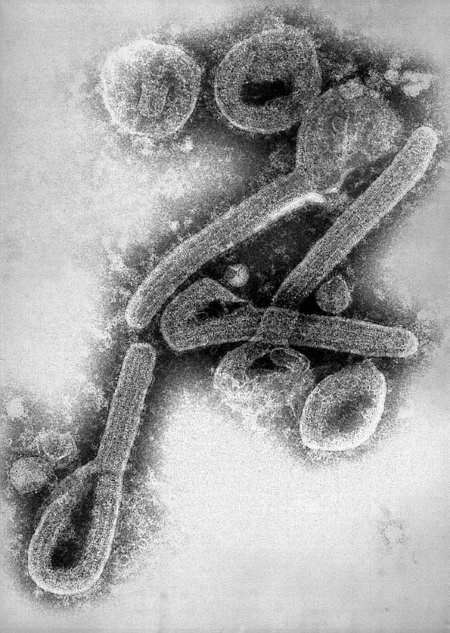 Иллюстрация к книге — Тайны древних цивилизаций [i_047.jpg]