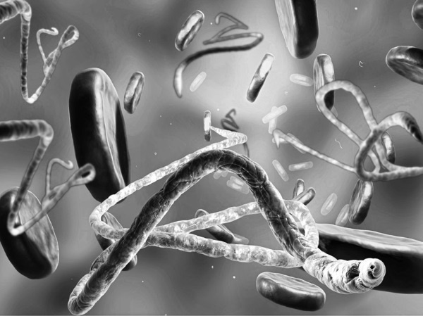 Иллюстрация к книге — Тайны древних цивилизаций [i_048.jpg]