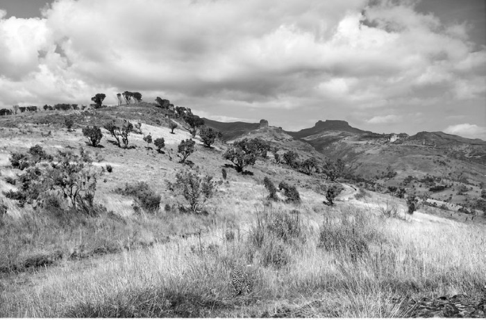 Иллюстрация к книге — Тайны древних цивилизаций [i_056.jpg]