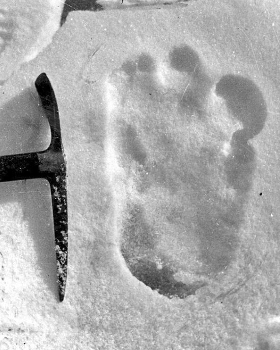 Иллюстрация к книге — Тайны древних цивилизаций [i_061.jpg]