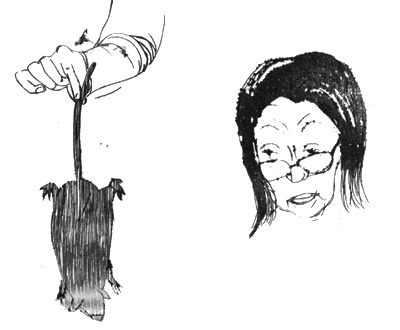 Иллюстрация к книге — Битвы по средам [i_046.jpg]