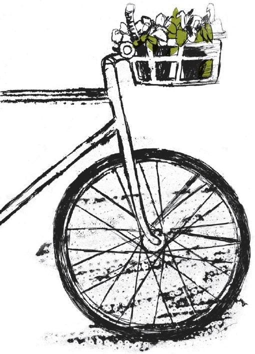 Иллюстрация к книге — Пока нормально [i_016.jpg]