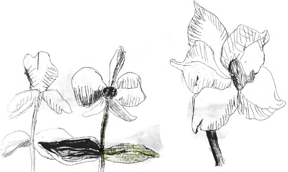 Иллюстрация к книге — Пока нормально [i_037.jpg]