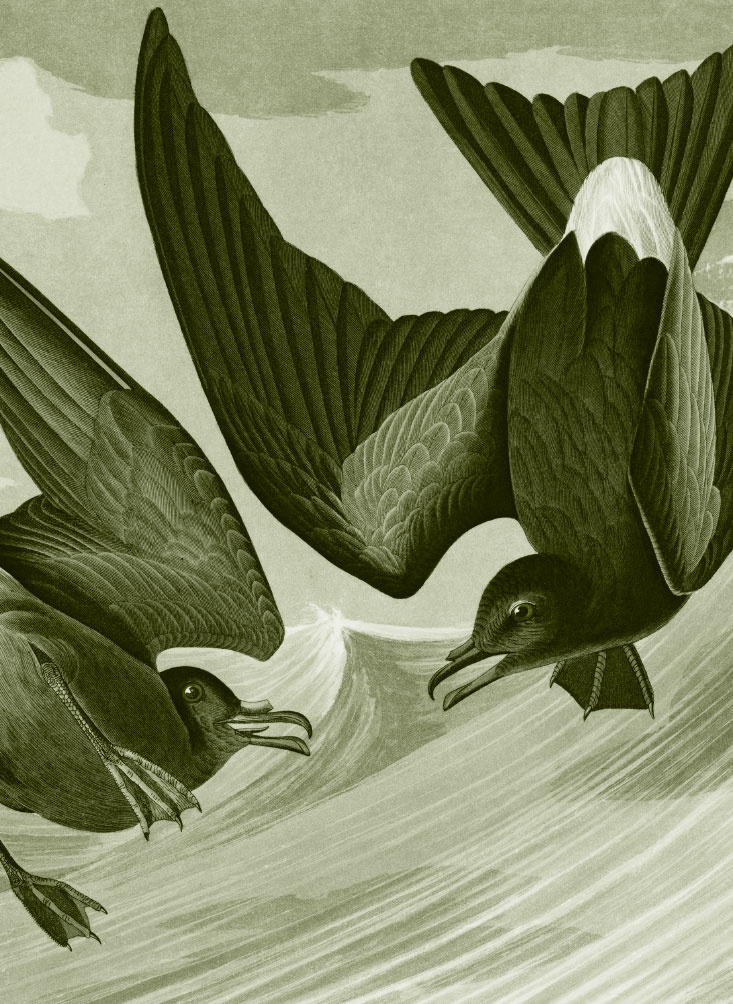 Иллюстрация к книге — Пока нормально [i_046.jpg]