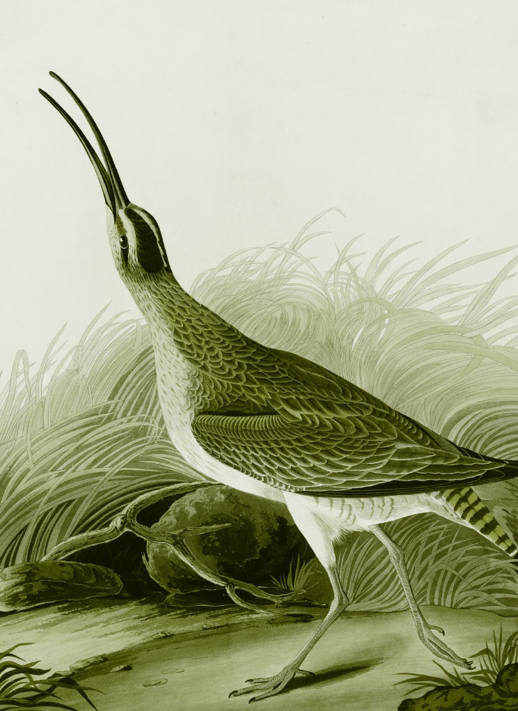 Иллюстрация к книге — Пока нормально [i_061.jpg]