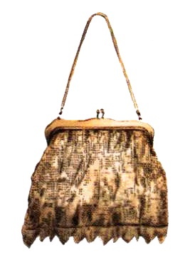 Иллюстрация к книге — Юная модница на балу у королевы [i_001.jpg]