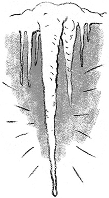 Иллюстрация к книге — Дом П [i_035.jpg]