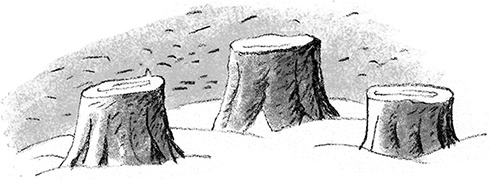 Иллюстрация к книге — Дом П [i_049.jpg]