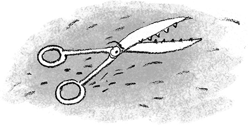 Иллюстрация к книге — Дом П [i_062.jpg]