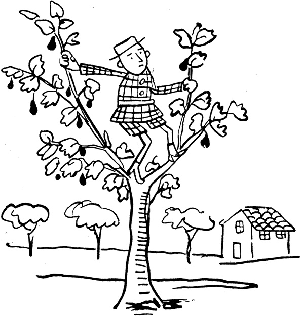 Иллюстрация к книге — Дневник Джанни Урагани [i_022.jpg]