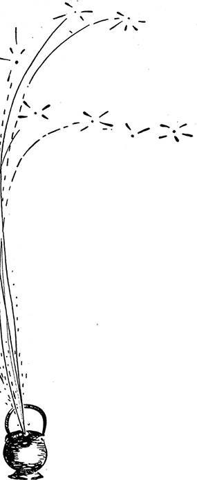 Иллюстрация к книге — Дневник Джанни Урагани [i_090.jpg]