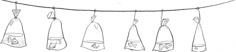 Иллюстрация к книге — Мальчик, который плавал с пираньями [i_010.jpg]