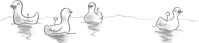 Иллюстрация к книге — Мальчик, который плавал с пираньями [i_012.jpg]