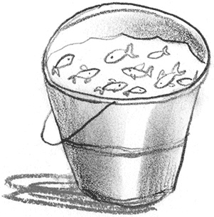 Иллюстрация к книге — Мальчик, который плавал с пираньями [i_016.jpg]