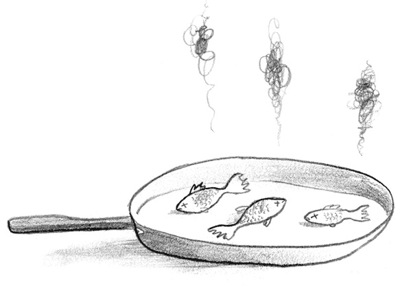 Иллюстрация к книге — Мальчик, который плавал с пираньями [i_019.jpg]